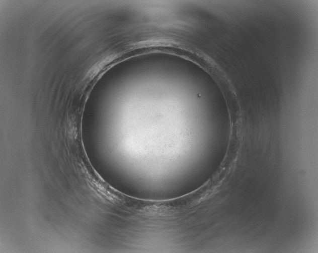 X0000077410929200610201457