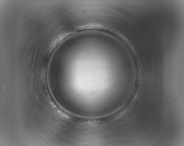 X0000077410937200610201457