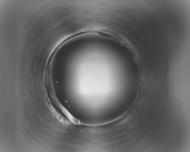 X0000077410948200610201457
