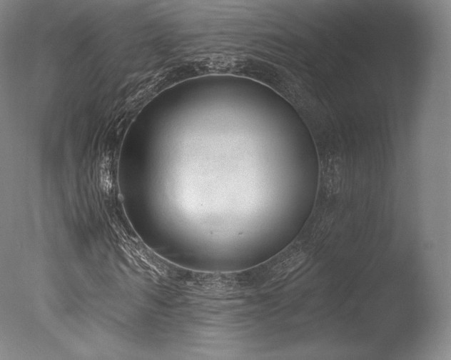 X0000077410962200610201457