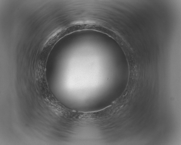 X0000077410967200610201456