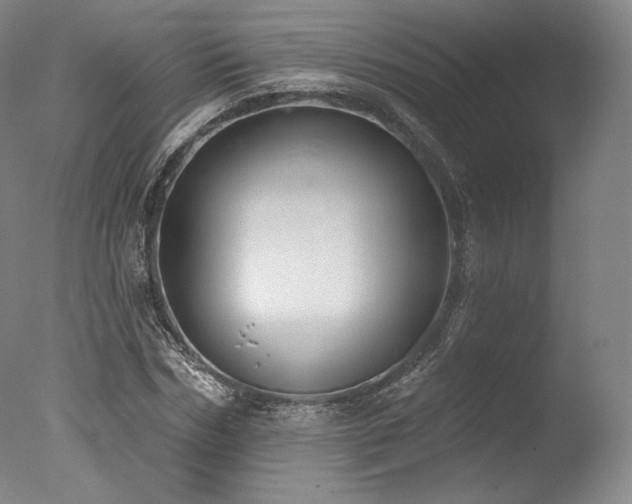 X0000077410970200610201456