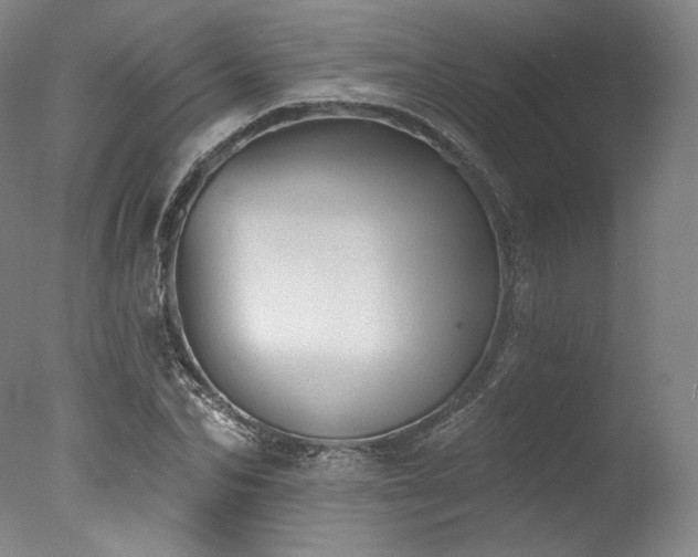 X0000077410974200610201456