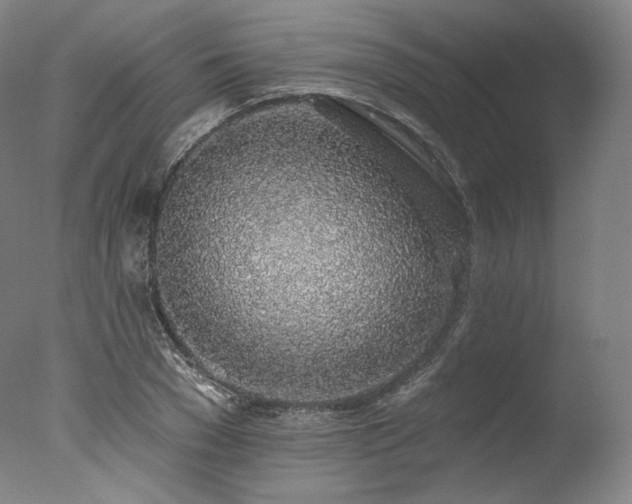 X0000077410977200610201456