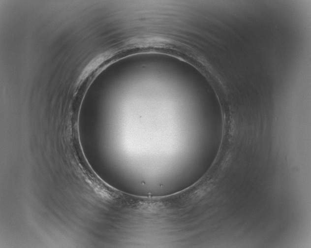 X0000077410978200610201456