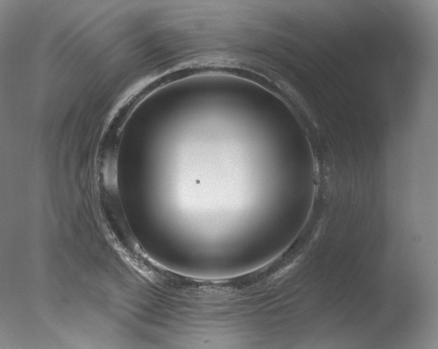 X0000077410981200610201456