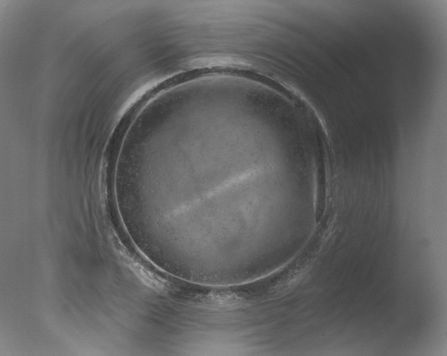 X0000077410983200610201456