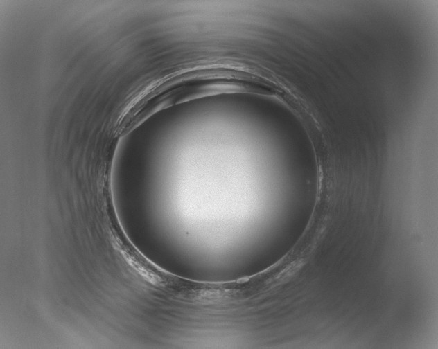 X0000077410985200610201456