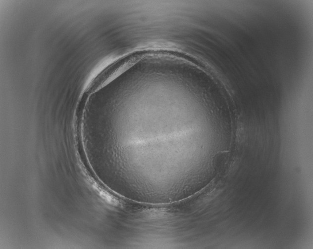 X0000077410990200610201456