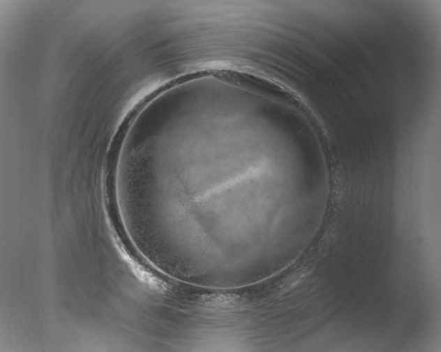 X0000077410991200610201456