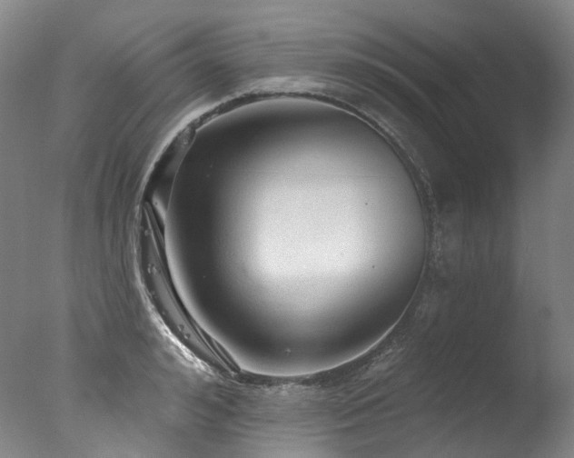 X0000077410992200610201456