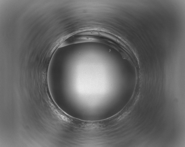 X0000077410993200610201456