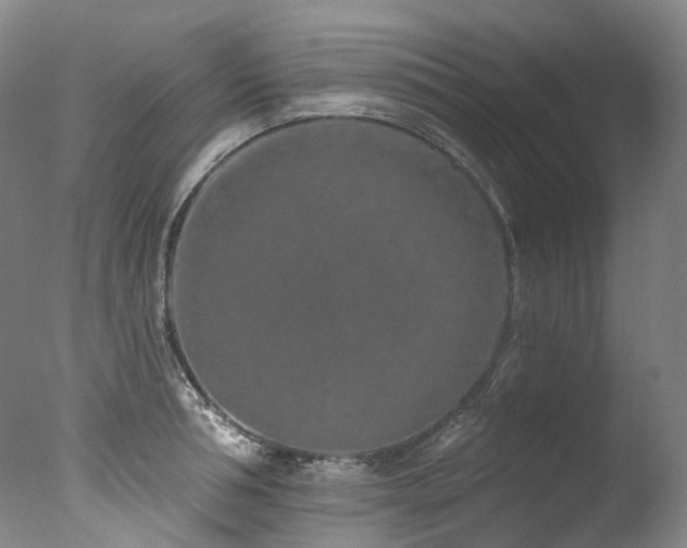 X0000077410994200610201456