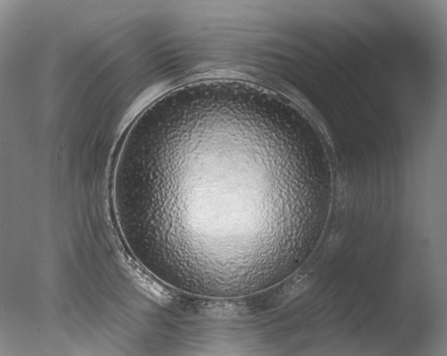 X0000077411002200610201456