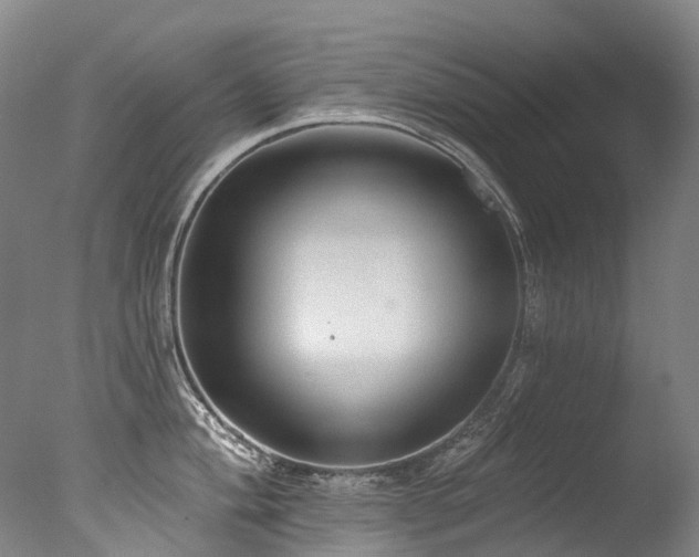 X0000077411004200610201456
