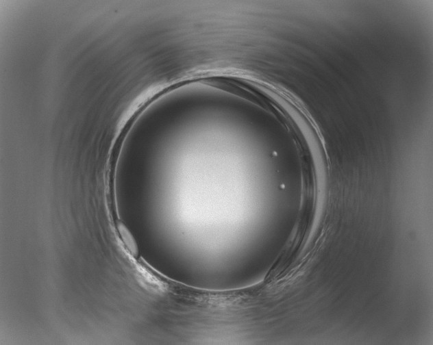 X0000077411005200610201456
