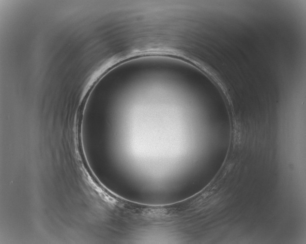 X0000077411006200610201456