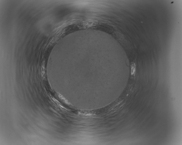 X0000077411011200610201455