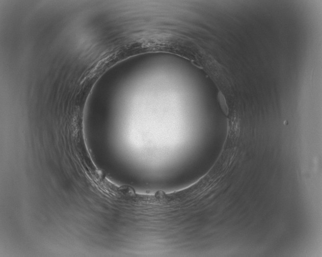 X0000077411012200610201455