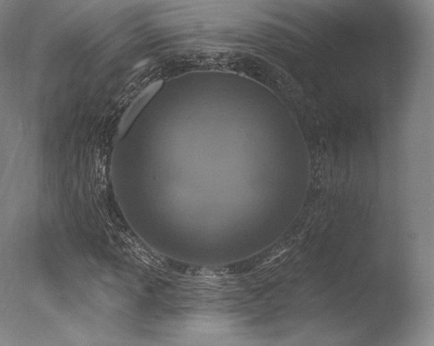 X0000077411013200610201455