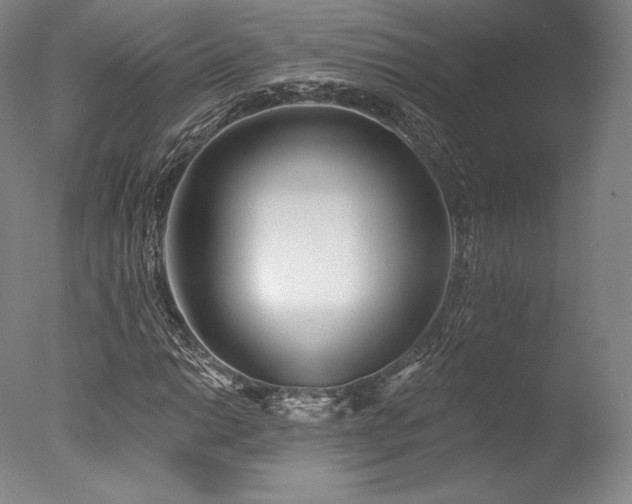 X0000077411014200610201455