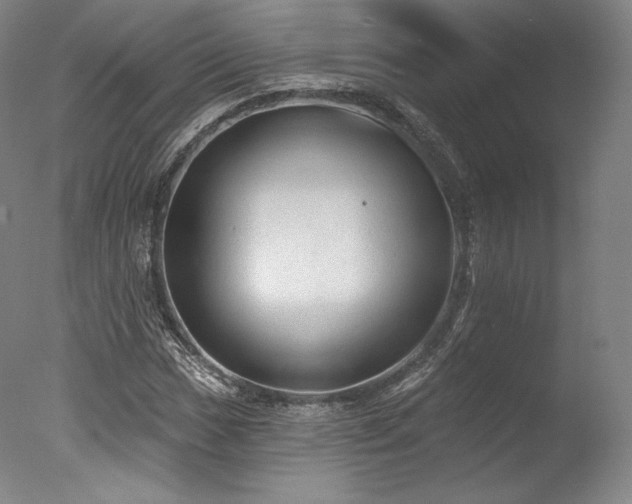 X0000077411017200610201455