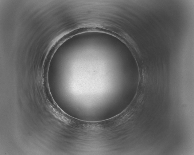 X0000077411020200610201455