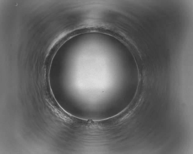 X0000077411021200610201455