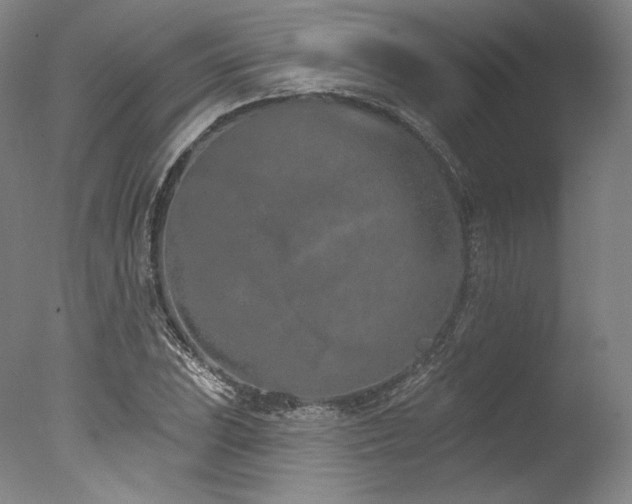 X0000077411023200610201455
