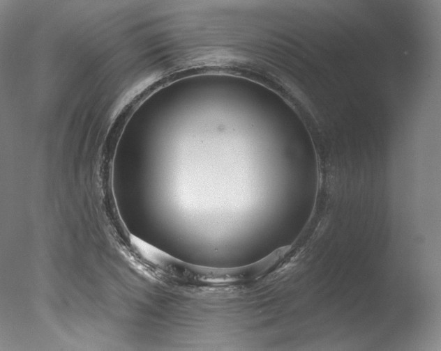 X0000077411026200610201455