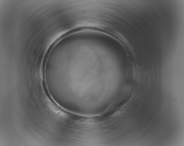 X0000077411028200610201455