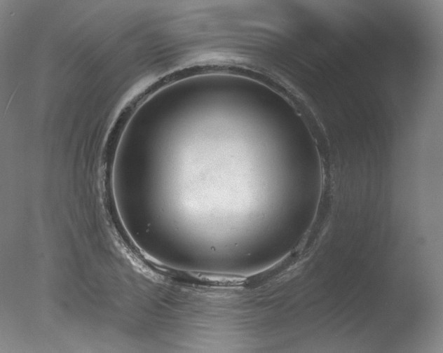 X0000077411029200610201455