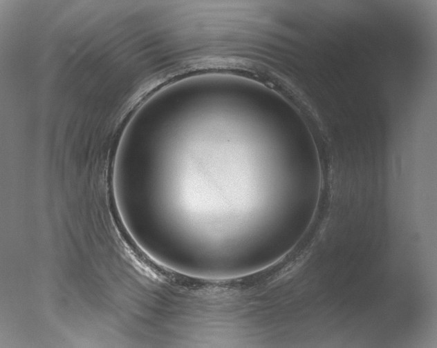 X0000077411033200610201455