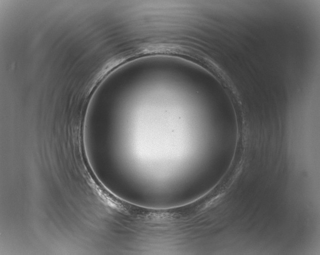 X0000077411041200610201456