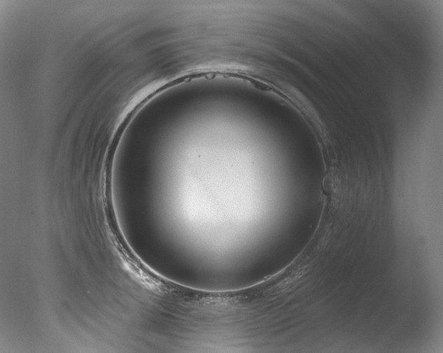 X0000077411044200610201456