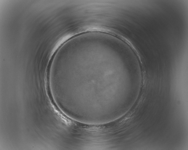 X0000077411048200610201456