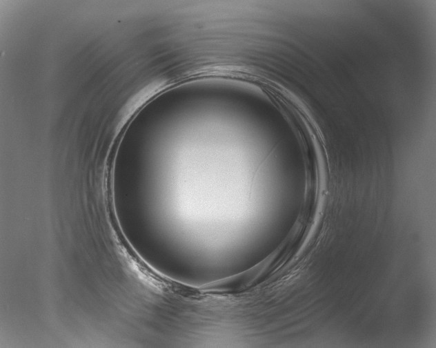X0000077411050200610201456
