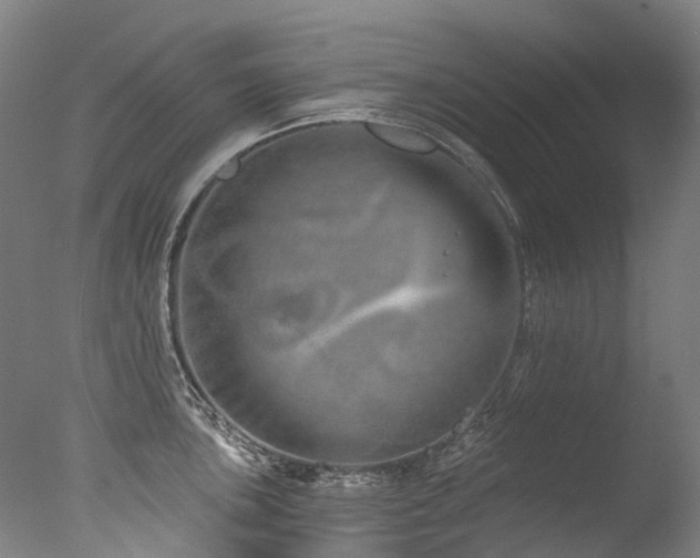 X0000077411051200610201456