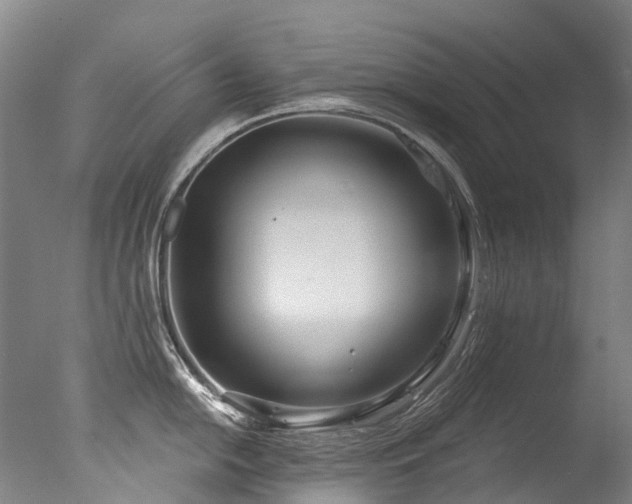 X0000077411054200610201456
