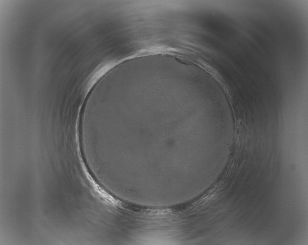 X0000077411055200610201456