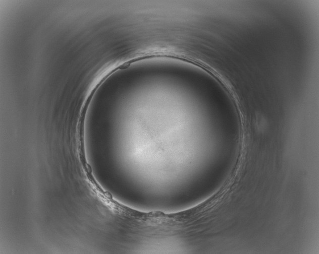 X0000077411056200610201456