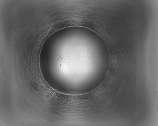 X0000077411057200610201455