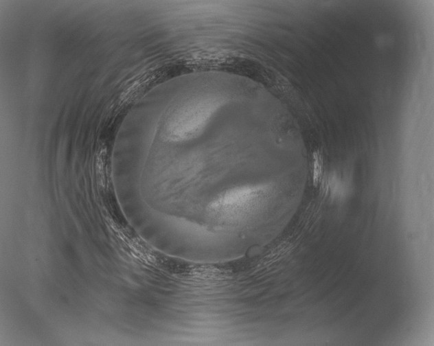X0000077411059200610201455