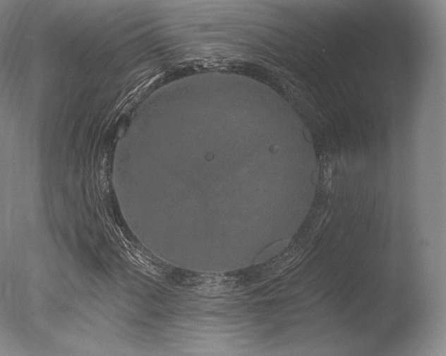 X0000077411060200610201455