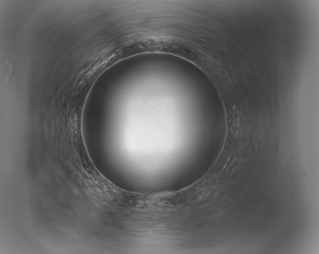 X0000077411061200610201455