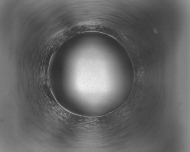 X0000077411062200610201455