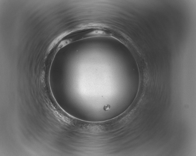 X0000077411066200610201455