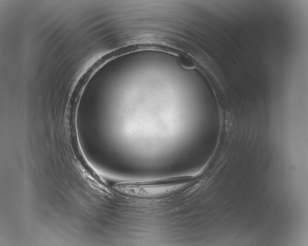 X0000077411068200610201455