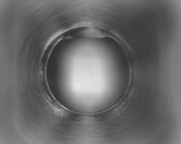 X0000077411070200610201455