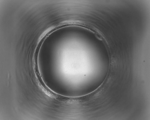 X0000077411082200610201455